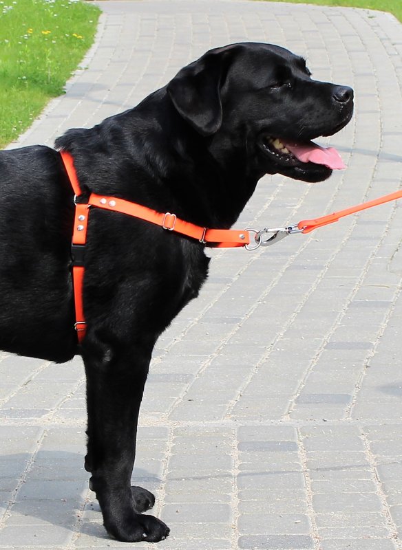 Anti pull dog harness width 1,9 cm, thickness 1,5 mm