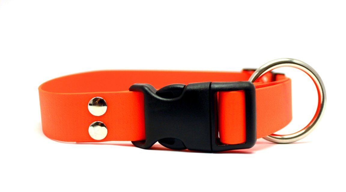 Dog collars Holiday active, width 2.5 cm