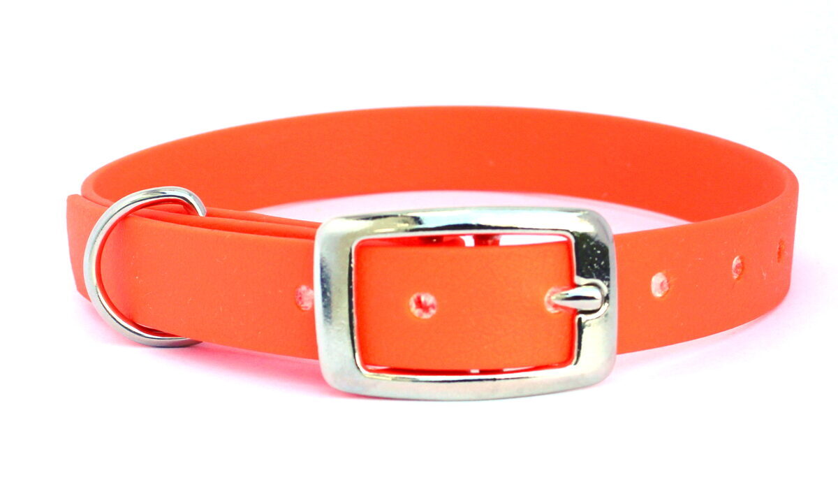 Dog Collars Classic, width 1.9 cm