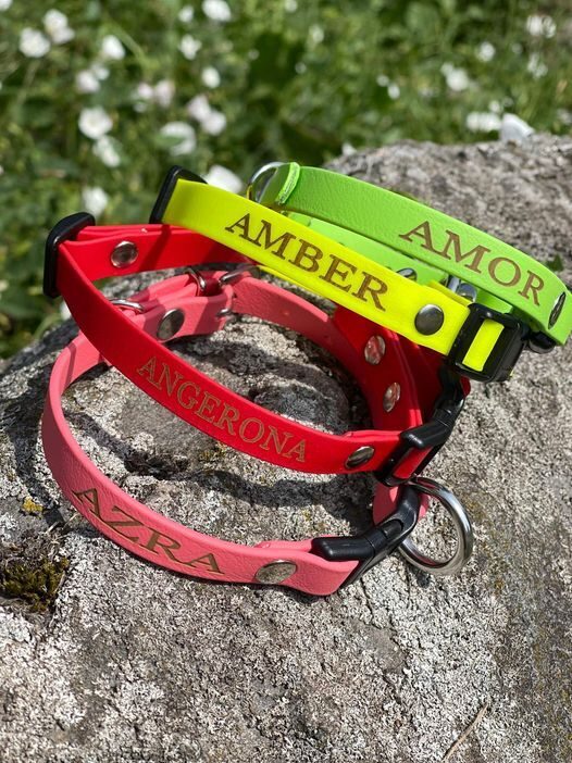 Dog collars Holiday active, width 1.2 cm