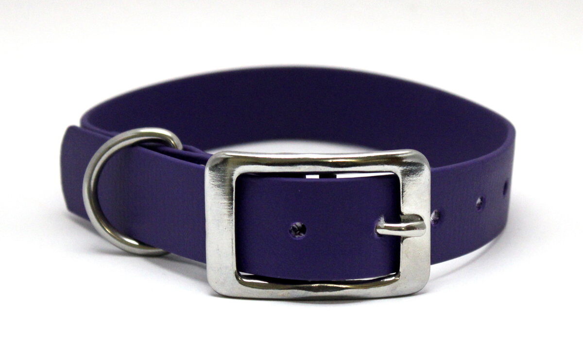 Dog collars Classic, width 2.5 cm