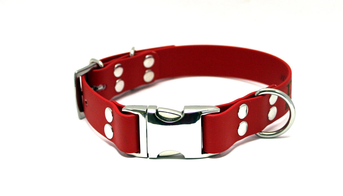 Dog collars Combo II, width 2.5 cm