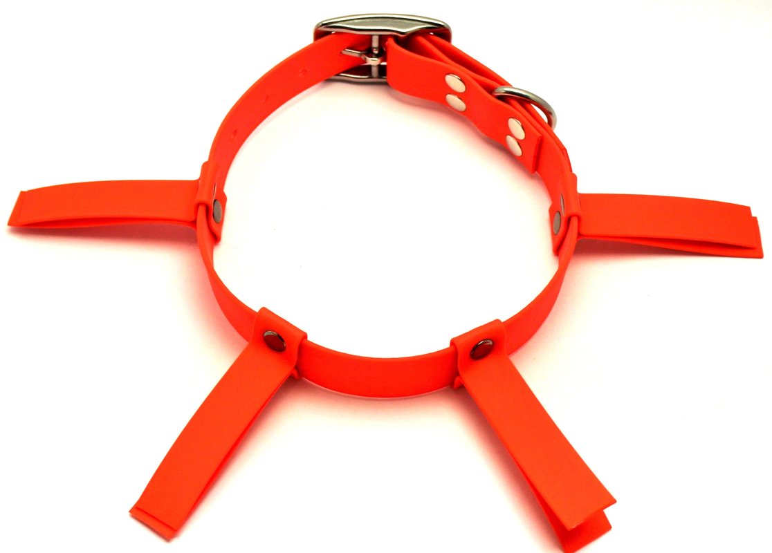Dog hunting collar orange, width 2.5 cm
