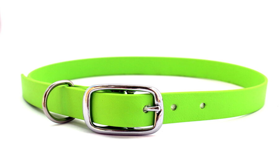 Dog Collars Classic, width 1.9 cm