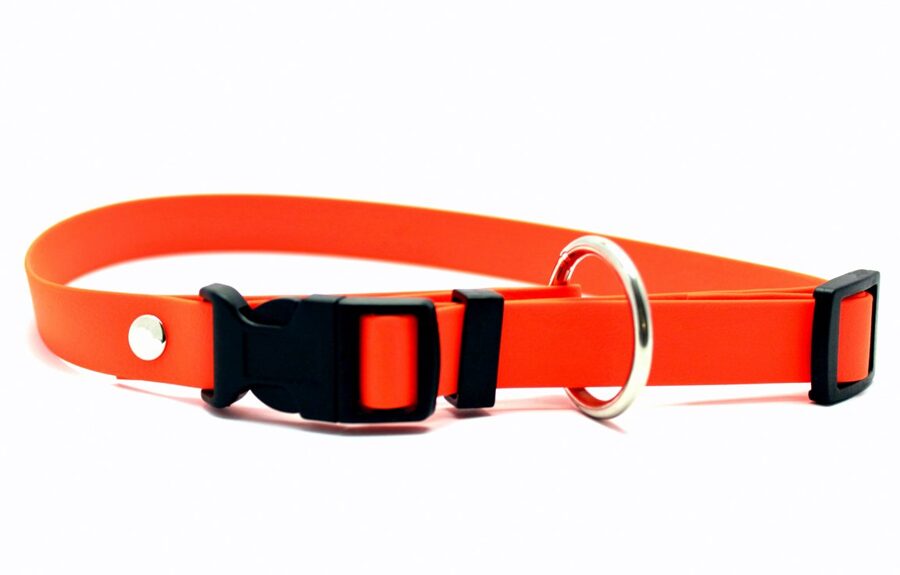 Dog collars Holiday active, width 1.9 cm