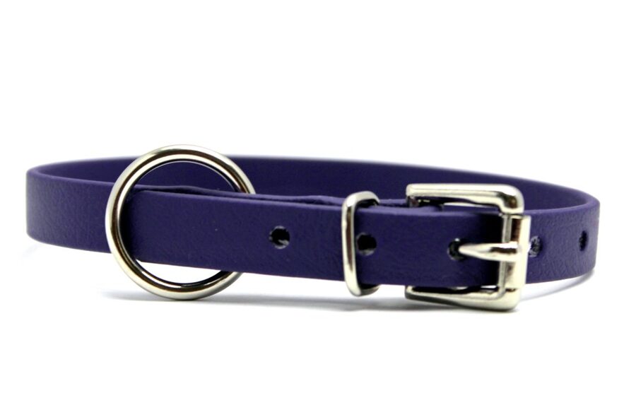 Dog collars Classic, width 1.2 cm
