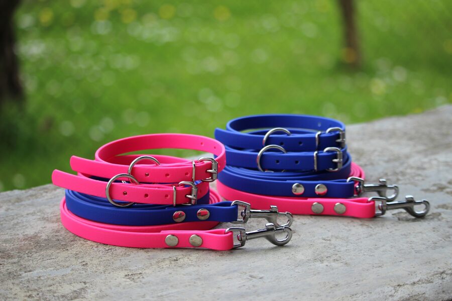 Dog collars Classic, width 1.2 cm