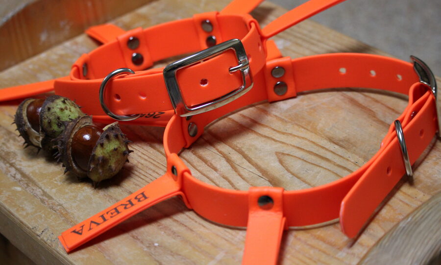 Охотничий ошейник для собаки оранжевый , ширина 2,5 см