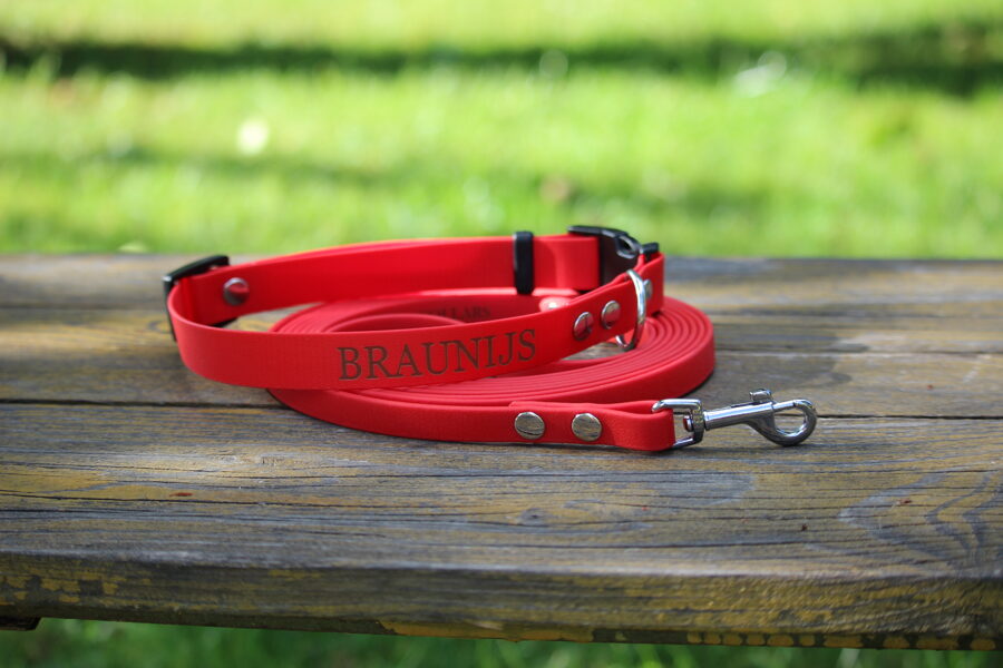 Classic long 3m, width - 1,2 cm, thickness 2.5 mm long dog leashes