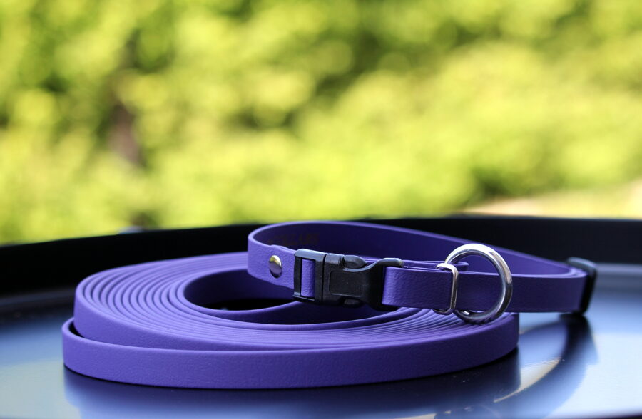 Classic long 10 m, width 1,2 cm, thickness 2.5 mm long dog leashes